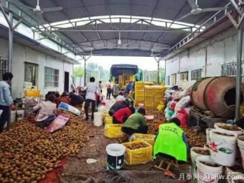“電商+物流”助力西峽獼猴桃銷(xiāo)售