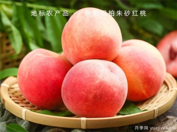 桃樹(shù)怎么管理大全？桃樹(shù)周年管理月歷表