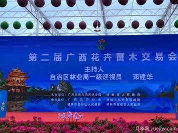 花開(kāi)八桂壯美廣西，第二屆廣西花卉苗木交易會(huì )開(kāi)幕