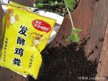 花卉綠植常用三大花肥分析，有機肥、無(wú)機肥、發(fā)酵各種糞