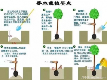 市政道路景觀(guān)規劃設計的主要手法18個(gè)問(wèn)題
