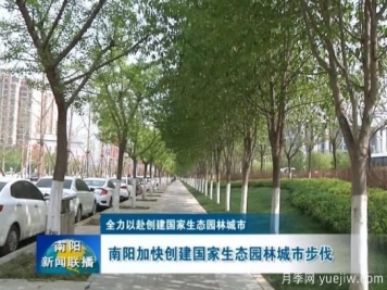 已種月季103萬(wàn)多株，南陽(yáng)加快創(chuàng  )建國家生態(tài)園林城市步伐