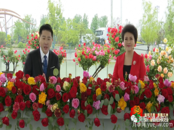 2022年第十三屆南陽(yáng)月季花會(huì )開(kāi)幕，南陽(yáng)電臺全媒體直播