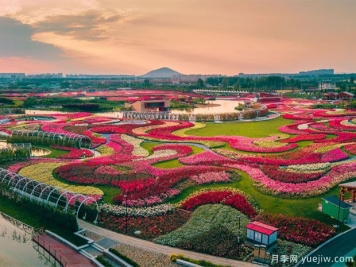 2023首屆世界月季博覽會(huì )八大亮點(diǎn)匯總