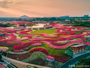南陽(yáng)2023首屆世界月季博覽會(huì )，月季花開(kāi)迎客來(lái)