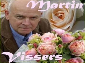 月季育種家：比利時(shí)Martin Vissers(馬丁維瑟斯，Viva苗圃)