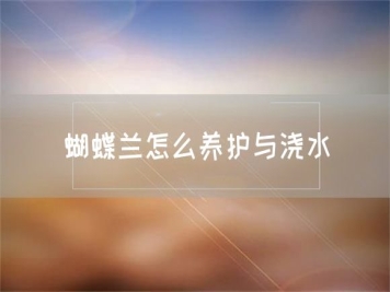 蝴蝶蘭怎么養護與澆水