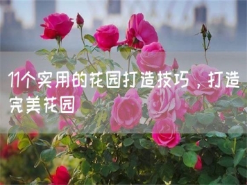 11個(gè)實(shí)用的花園打造技巧，打造完美花園