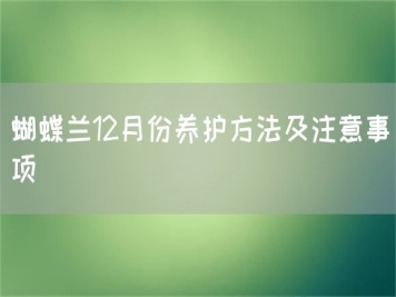 蝴蝶蘭12月份養護方法及注意事項