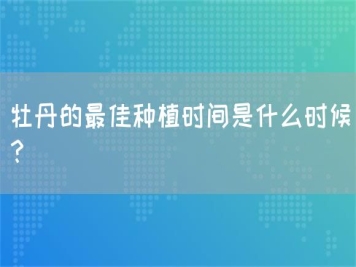 牡丹的最佳種植時(shí)間是什么時(shí)候？