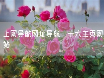上網(wǎng)導航網(wǎng)址導航_十大主頁(yè)網(wǎng)站