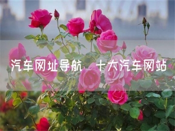 汽車(chē)網(wǎng)址導航_十大汽車(chē)網(wǎng)站
