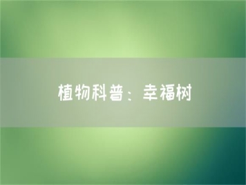 植物科普：幸福樹(shù)