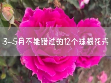 3-5月不能錯過(guò)的12個(gè)球根花卉