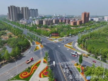 萬(wàn)株樹(shù)狀月季齊綻放，扮靚寧鄉城市新風(fēng)景