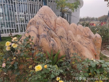庭院中景觀(guān)置石怎么選？