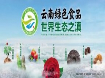 第三屆云果會(huì )盛大開(kāi)幕，助力云南打造世界一流綠色食品牌
