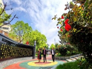 南陽(yáng)臥龍崗街道，廢墟變游園，月季景優(yōu)美