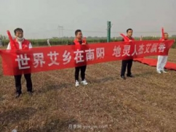 第二屆道地“南陽(yáng)艾”采收節在社旗縣大馮營(yíng)鎮舉辦