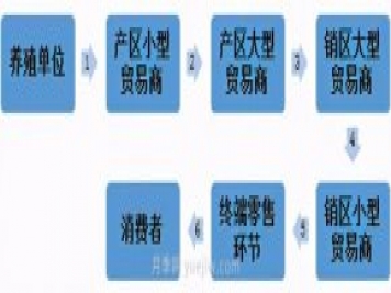 電商平臺：雞蛋銷(xiāo)售新渠道