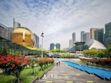 浙江杭州：錢(qián)江新城近千株月季盛開(kāi)陽(yáng)臺
