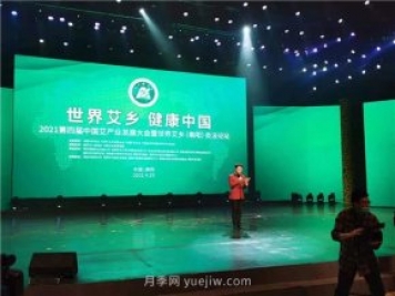 南陽(yáng)發(fā)揮醫圣故里中醫藥優(yōu)勢 加快建設“世界艾鄉”