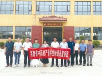 科技創(chuàng  )新促進(jìn)南陽(yáng)艾草產(chǎn)業(yè)高質(zhì)量發(fā)展