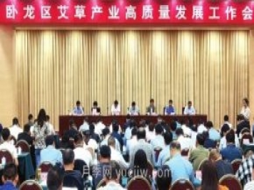 打造“中國艾草之鄉”，南陽(yáng)市臥龍區引領(lǐng)艾草產(chǎn)業(yè)高質(zhì)量發(fā)展
