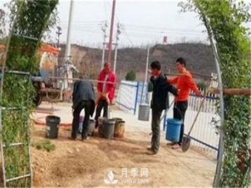渭南引進(jìn)南陽(yáng)月季，強勢打造馬趵泉景區景觀(guān)美化帶