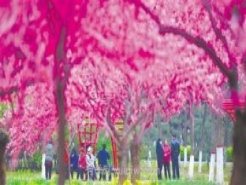 鄉村振興 休閑農業(yè)不負春