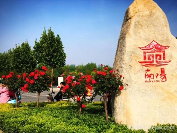 南陽(yáng)內鄉縣森林覆蓋率45.9%，中藥材達400多種