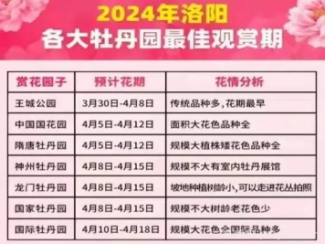 2024年洛陽(yáng)牡丹絢爛綻放，誰(shuí)與爭鋒？