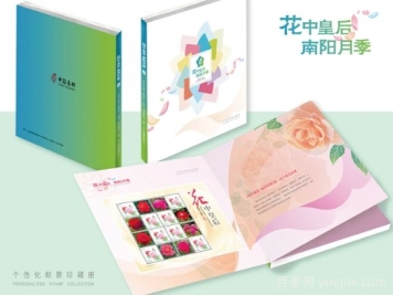 “國家名片”上綻放南陽(yáng)月季