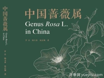 月季專(zhuān)著(zhù)《中國薔薇屬》出版
