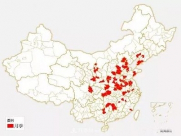 中國各城市市花大集合！月季是51個(gè)城市市花具首位