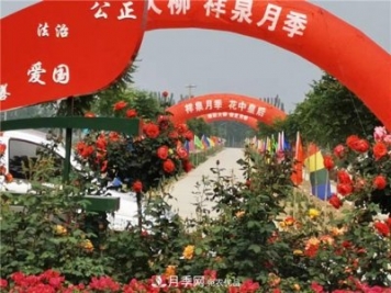 月季為媒 山東德州寧津縣扶貧產(chǎn)業(yè)結碩果