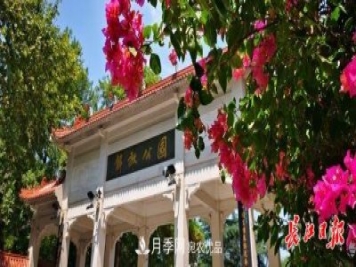 湖北武漢百萬(wàn)株月季“理發(fā)”，國慶節前將綻放街頭