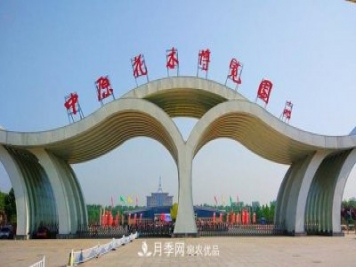 鄢陵：云上2020年中原花木交易博覽會(huì )9月26日開(kāi)幕
