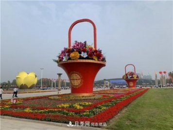 河南中原花木交易博覽會(huì ) 鄢陵云上花博會(huì )帶您云賞花