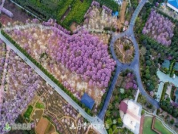 南召玉蘭生態(tài)觀(guān)光園