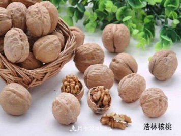 南陽(yáng)市內鄉縣萬(wàn)畝林果基地 助力農民脫貧奔小康