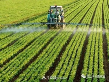 巴旦木生態(tài)農業(yè)：河南三門(mén)峽為什么適合種植巴旦木？