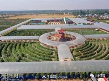 游玩好去處！內鄉縣灌漲鎮歐月花海風(fēng)情園盛妝開(kāi)園