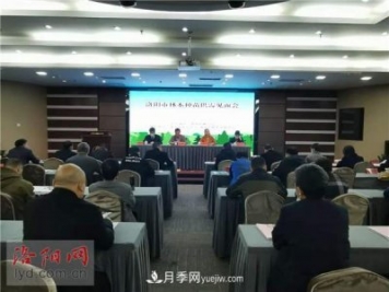 2.2億株！洛陽(yáng)市可供今冬明春國土綠化使用的苗木種類(lèi)齊全