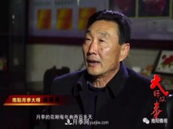南陽(yáng)月季大師——趙國強