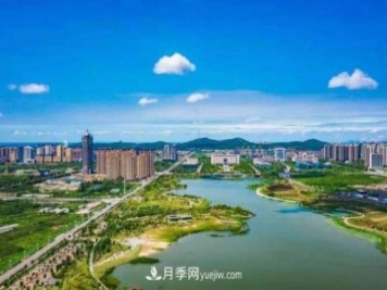淮南市花、市樹(shù)是什么？是月季嗎？