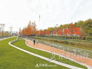 蕪湖綠化提升打造優(yōu)美景觀(guān)