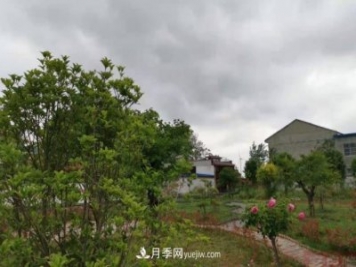 十三五以來(lái)，許昌市累計完成林業(yè)生態(tài)建設面積120余萬(wàn)畝