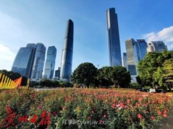 廣州花城廣場(chǎng)月季花海爭奇斗艷