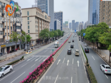 武漢市首條全月季景觀(guān)帶 為“五一”小長(cháng)假增色添彩